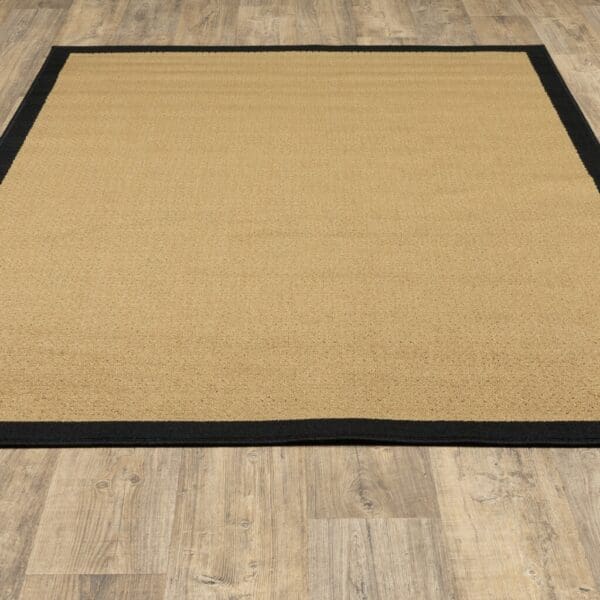 2' x 4' Indoor/Outdoor Area Rug - Beige & Black