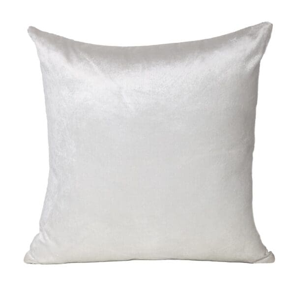 Classic Solid Color Soft Touch Pillow - 22" x 22", White