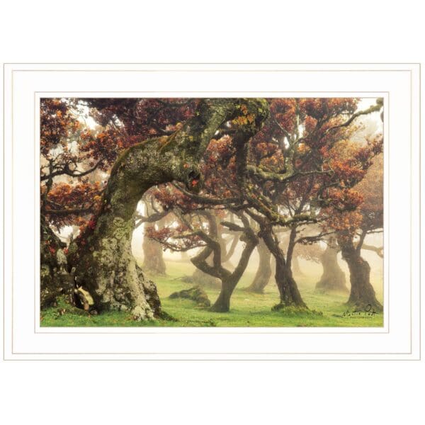 Fanal White Framed Print Wall Art - Image 2