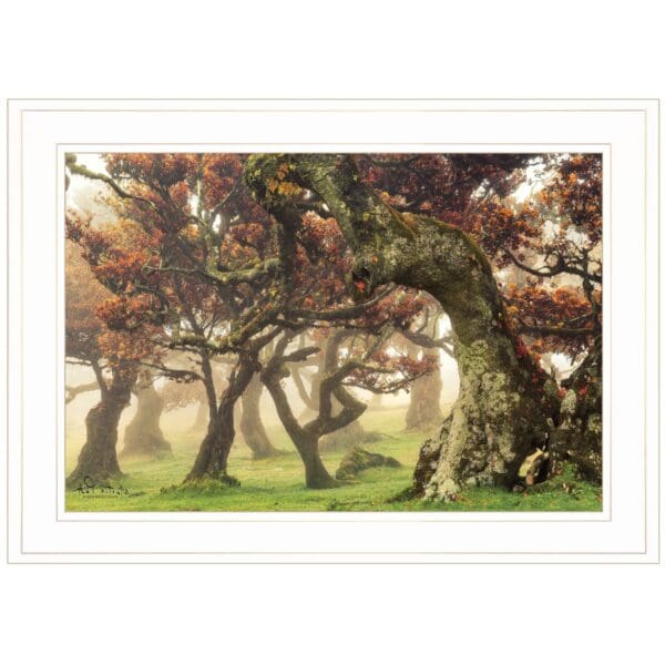 Fanal White Framed Print Wall Art - Image 5