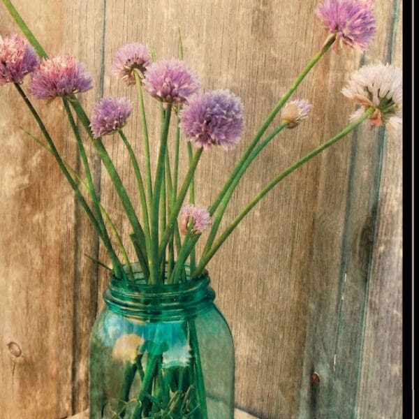 Country Chives 2 Black Framed Print Wall Art - Image 4