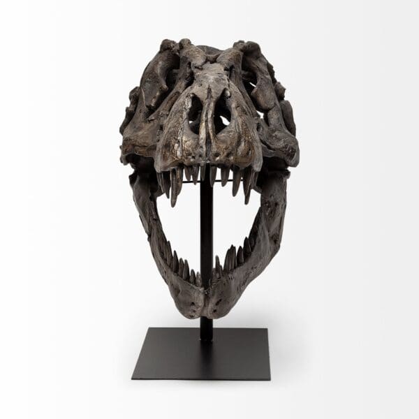 Authentic Replica T Rex Skull Sculpture - Image 3