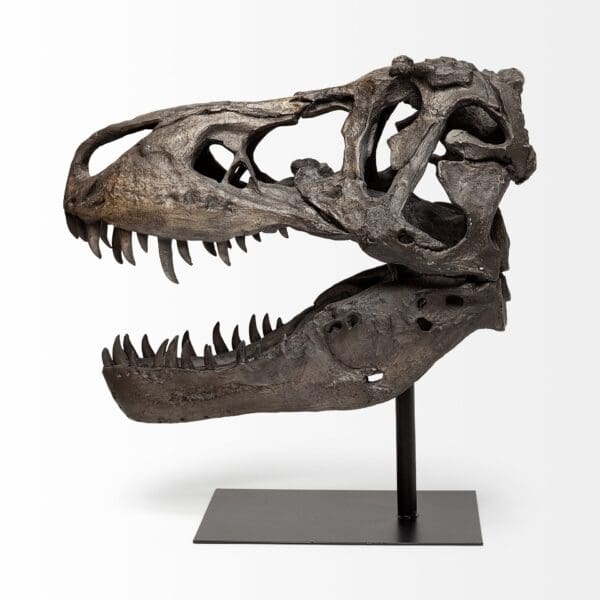 Authentic Replica T Rex Skull Sculpture - Image 4