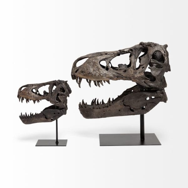 Authentic Replica T Rex Skull Sculpture - Image 6