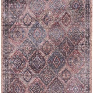 2' x 4' Power Loom Distressed Washable Area Rug - Maroon