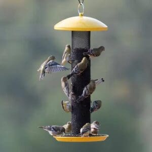 Outdoor Decor